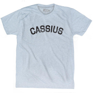 Cassius Adult Tri-Blend T-shirt - Athletic White