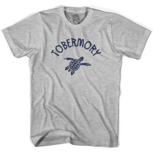 Tobermory Beach Sea Turtle Womens Cotton T-shirt - Grey Heather