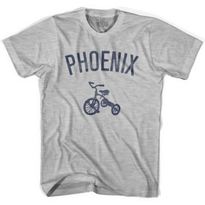 Phoenix City Tricycle Womens Cotton T-shirt - Grey Heather