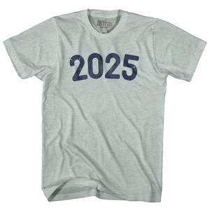 2025 Year Celebration Adult Tri-Blend T-shirt - Athletic Cool Grey 2025 Year Celebration Adult Tri-Blend T-shirt - Athletic Cool Grey