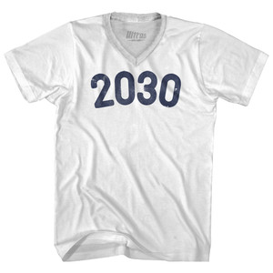 2030 Year Celebration Adult Tri-Blend V-neck T-shirt - White