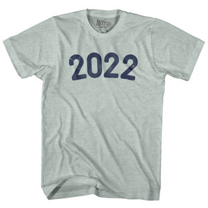 2022 Year Celebration Adult Tri-Blend T-shirt - Athletic Cool Grey 2022 Year Celebration Adult Tri-Blend T-shirt - Athletic Cool Grey