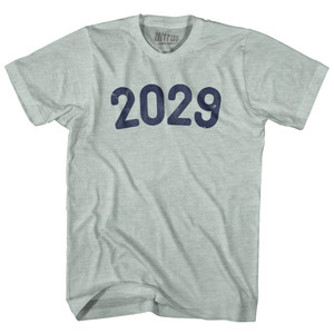 2029 Year Celebration Adult Tri-Blend T-shirt - Athletic Cool Grey 2029 Year Celebration Adult Tri-Blend T-shirt - Athletic Cool Grey