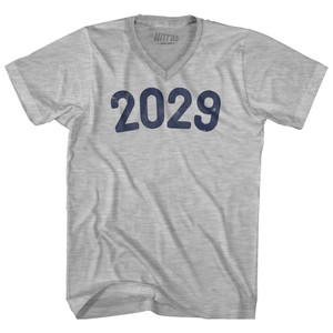 2029 Year Celebration Adult Cotton V-neck T-shirt - Grey Heather