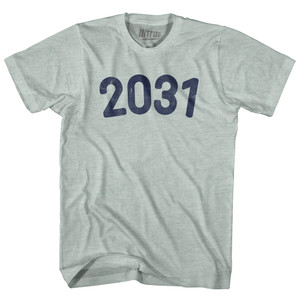 2031 Year Celebration Adult Tri-Blend T-shirt - Athletic Cool Grey 2031 Year Celebration Adult Tri-Blend T-shirt - Athletic Cool Grey
