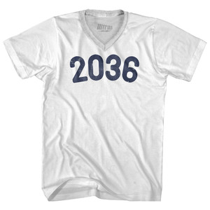 2036 Year Celebration Adult Tri-Blend V-neck T-shirt - White