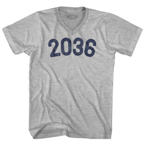2036 Year Celebration Adult Cotton V-neck T-shirt - Grey Heather