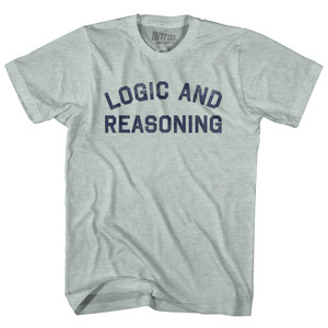 Logic And Reasoning Adult Tri-Blend T-shirt - Athletic Cool Grey