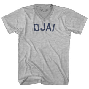Ojai Adult Cotton V-neck T-shirt - Grey Heather