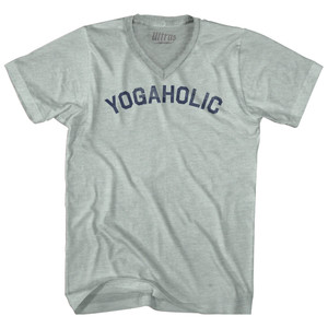 Yogaholic Adult Tri-Blend V-neck T-shirt - Athletic Cool Grey