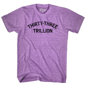 Thirty-Three Trillion Adult Tri-Blend T-shirt - Athletic Purple