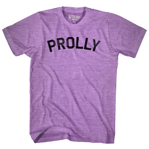 Prolly Adult Tri-Blend T-shirt - Athletic Purple