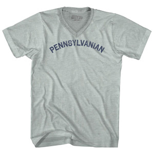 Pennsylvanian Adult Tri-Blend V-neck T-shirt - Athletic Cool Grey