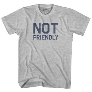 Not Friendly Youth Cotton T-shirt - Grey Heather