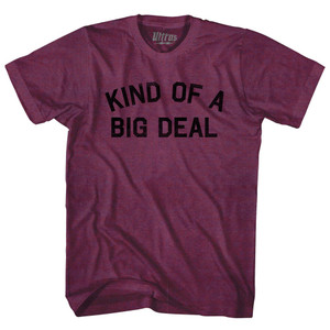 Kind Of A Big Deal Adult Tri-Blend T-shirt - Athletic Cranberry