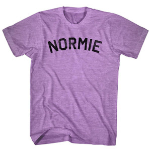 Normie Adult Tri-Blend T-shirt - Athletic Purple