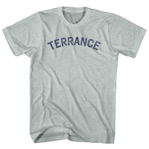 Terrance Adult Tri-Blend T-shirt - Athletic Cool Grey