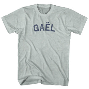 Gael Adult Tri-Blend T-shirt - Athletic Cool Grey