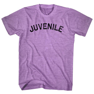 Juvenile Adult Tri-Blend T-shirt - Athletic Purple