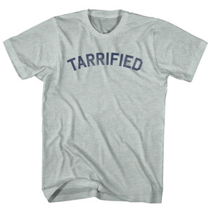Tarrified Adult Tri-Blend T-shirt - Athletic Cool Grey