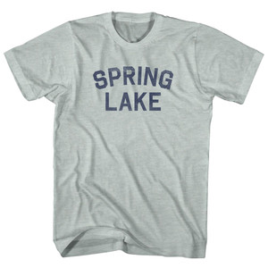 Spring Lake Adult Tri-Blend T-shirt - Athletic Cool Grey