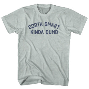 Sorta Smart Kinda Dumb Adult Tri-Blend T-shirt - Athletic Cool Grey