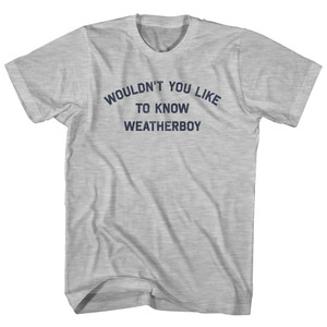 Wouldn't You Like To Know Weatherboy Youth Cotton T-shirt - Grey Heather