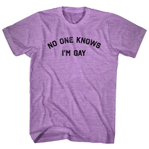 No One Knows I'm Gay Adult Tri-Blend T-shirt - Athletic Purple