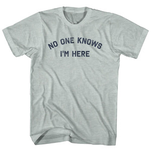 No One Knows I'm Here Adult Tri-Blend T-shirt - Athletic Cool Grey
