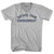 Dictate Your Environment Adult Cotton V-neck T-shirt - Grey Heather