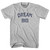 Dream Big Adult Cotton T-Shirt - Grey Heather