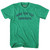 Here For The Comments Adult Tri-Blend T-Shirt - Heather Green