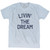 Livin' The Dream Adult Tri-Blend T-Shirt - Athletic White