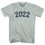 2022 Year Celebration Adult Tri-Blend T-shirt - Athletic Cool Grey