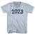 2023 Year Celebration Adult Tri-Blend V-neck T-shirt - Athletic White