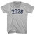 2028 Year Celebration Adult Cotton V-neck T-shirt - Grey Heather