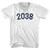 2038 Year Celebration Adult Tri-Blend V-neck T-shirt - White