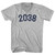 2038 Year Celebration Adult Cotton V-neck T-shirt - Grey Heather