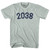 2038 Year Celebration Adult Tri-Blend T-shirt - Athletic Cool Grey