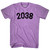 2038 Year Celebration Adult Tri-Blend T-shirt - Athletic Purple
