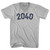 2040 Year Celebration Adult Tri-Blend V-neck T-shirt - Cool Grey