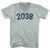 2038 Year Celebration Adult Tri-Blend V-neck T-shirt - Athletic Cool Grey