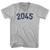 2045 Year Celebration Adult Cotton V-neck T-shirt - Grey Heather