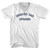 Onward And Upward Adult Tri-Blend V-neck T-shirt - White