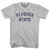 Flyover State Adult Cotton T-shirt - Cool Grey
