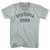 Dystopia 2024 Adult Tri-Blend V-neck T-shirt - Athletic Cool Grey