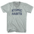 Atomic Habits Adult Tri-Blend V-neck T-shirt - Athletic Cool Grey