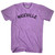 Niceville Adult Tri-Blend T-shirt - Athletic Purple