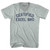 Certified Excel Bro Adult Tri-Blend V-neck T-shirt - Athletic Cool Grey