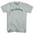 Delawarean Adult Tri-Blend T-shirt - Athletic Cool Grey